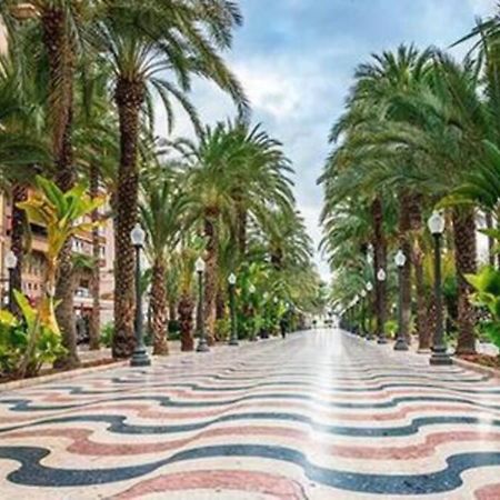 Apartamento Boutique Centrico A 5 Min Playa 알리칸테 외부 사진