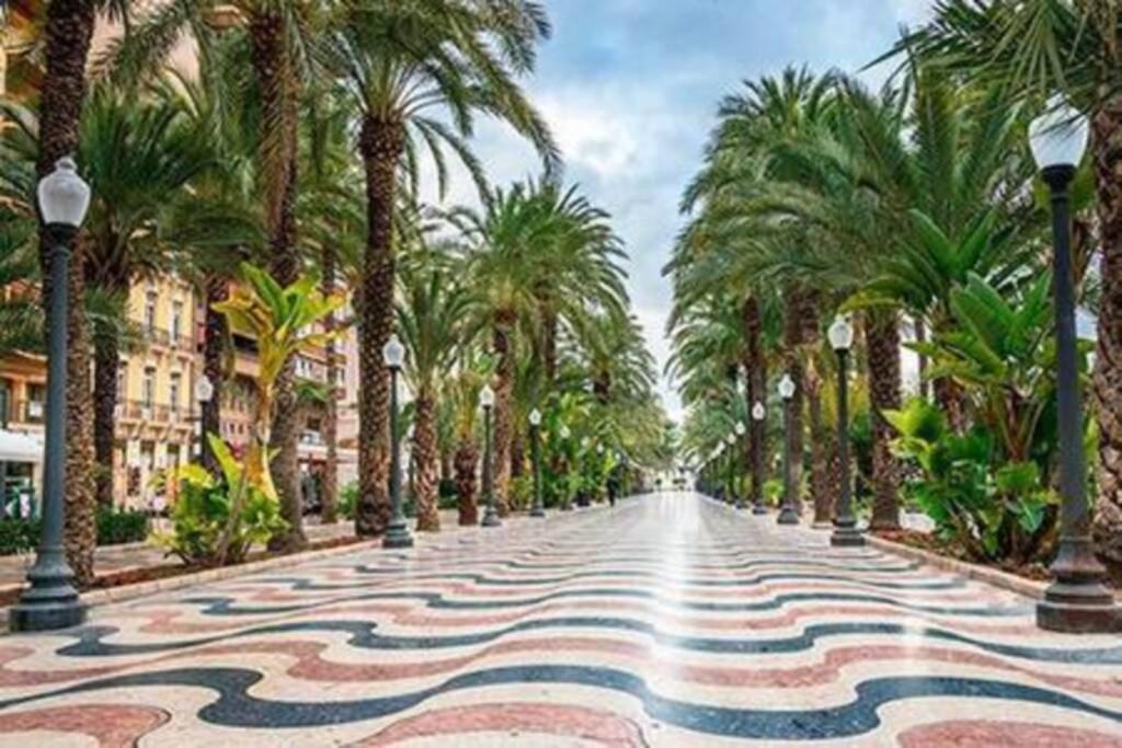 Apartamento Boutique Centrico A 5 Min Playa 알리칸테 외부 사진